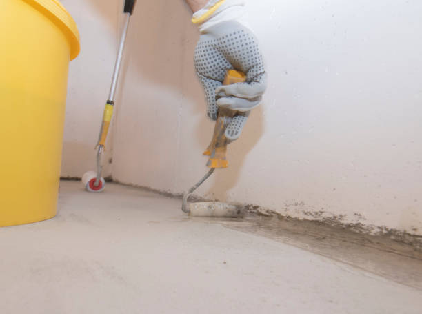 Best Residential Pest Control  in Sibley, IA